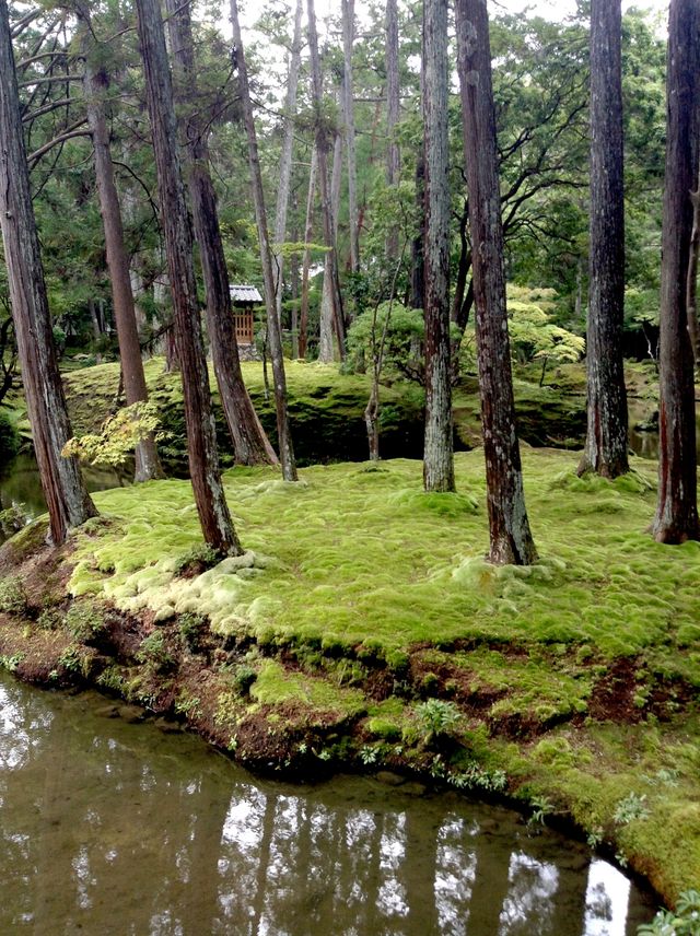 Saihoji Temple——Japan Kyoto