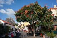 Funchal, the capital of Madeira Islands in Portugal.