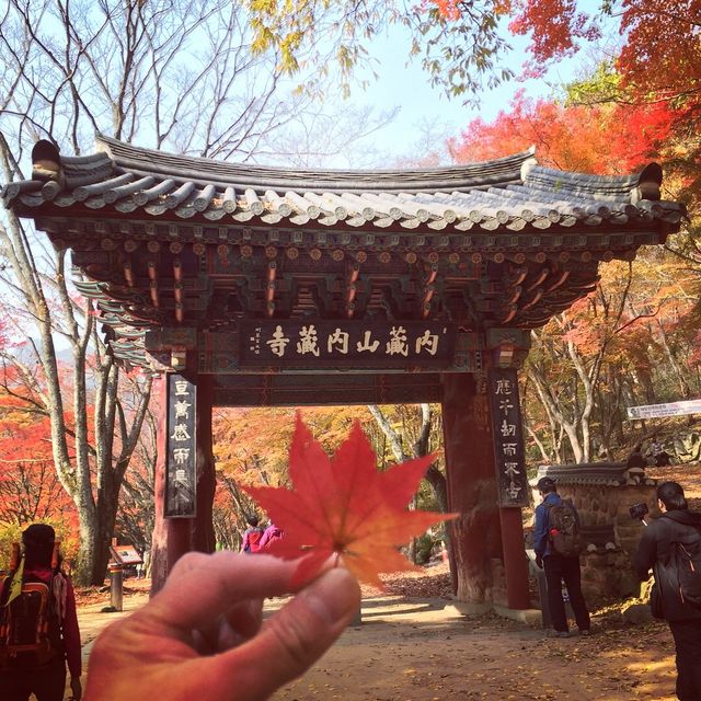 Naejangsan National Park 