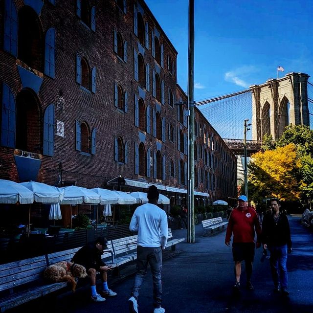 The Iconic Brooklyn Bridge in NYC