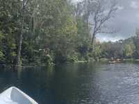 Kayaking in Gainesville- Seeing alligators🐊 