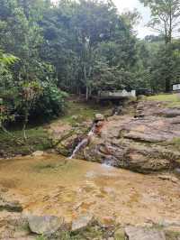 Taman Rimba Bukit Kerinchi 👀🍃