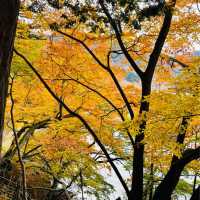 【日光】中禅寺湖と男体山が一望できる絶景スポット！内装や家具も可愛い❤︎