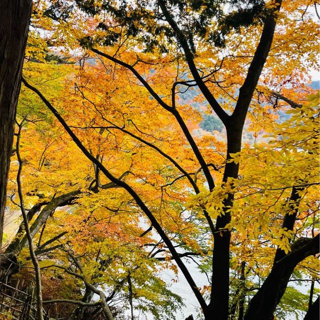 【日光】中禅寺湖と男体山が一望できる絶景スポット！内装や家具も可愛い❤︎