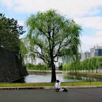 Edo Castle Ruins & Imperial Palace @Tokyo