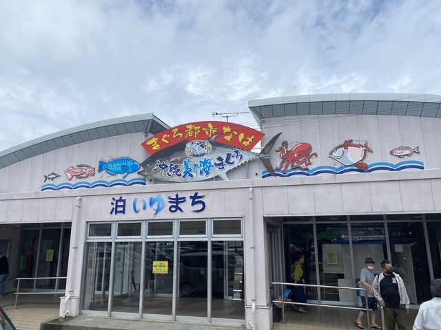 漁港内で格安。マグロをお腹いっぱい食べれます。