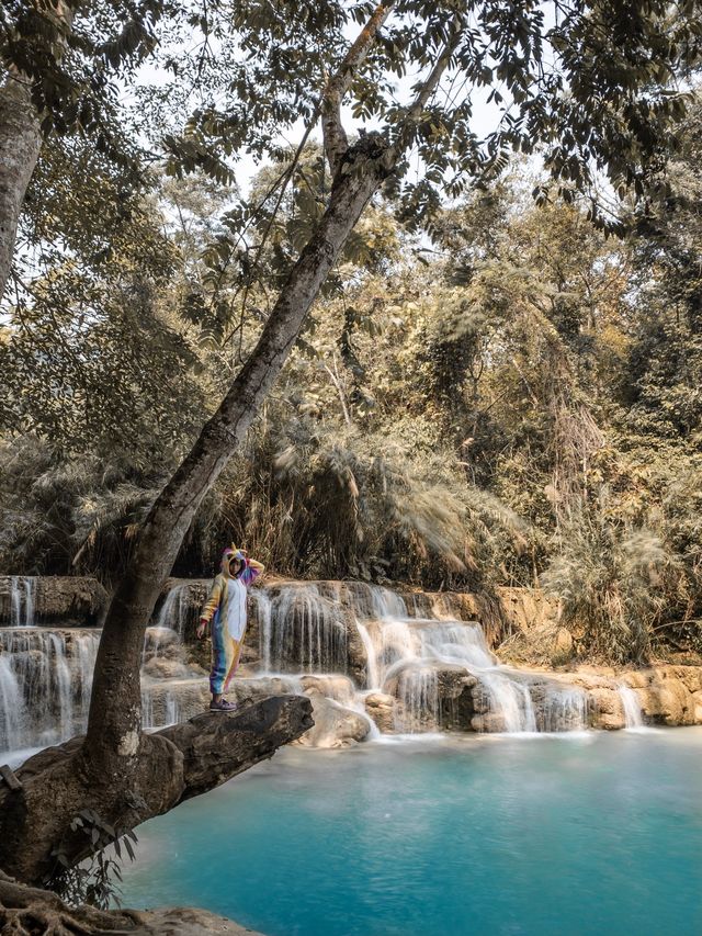 Best thing to do in Luang Prabang!