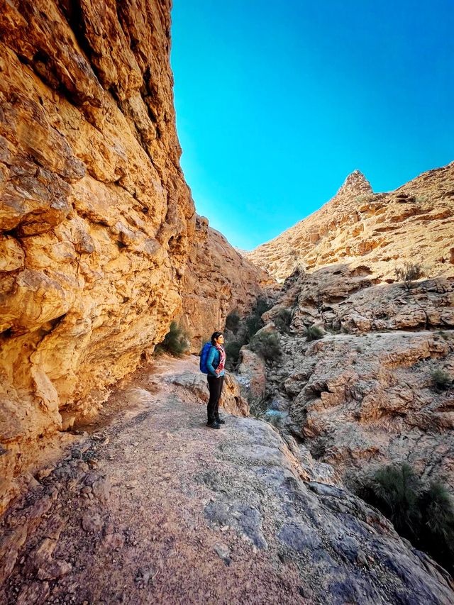 a piece of jewelry in the desert!