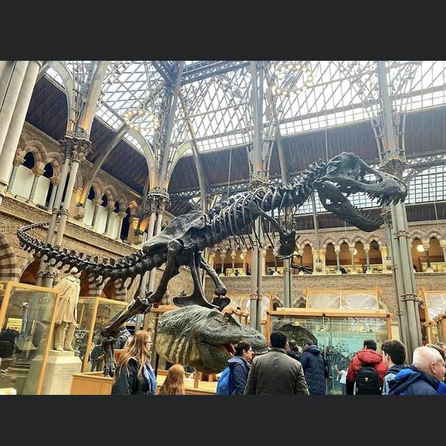 Oxford University Museum of Natural History 