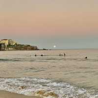 Bondi Beach - Sydney