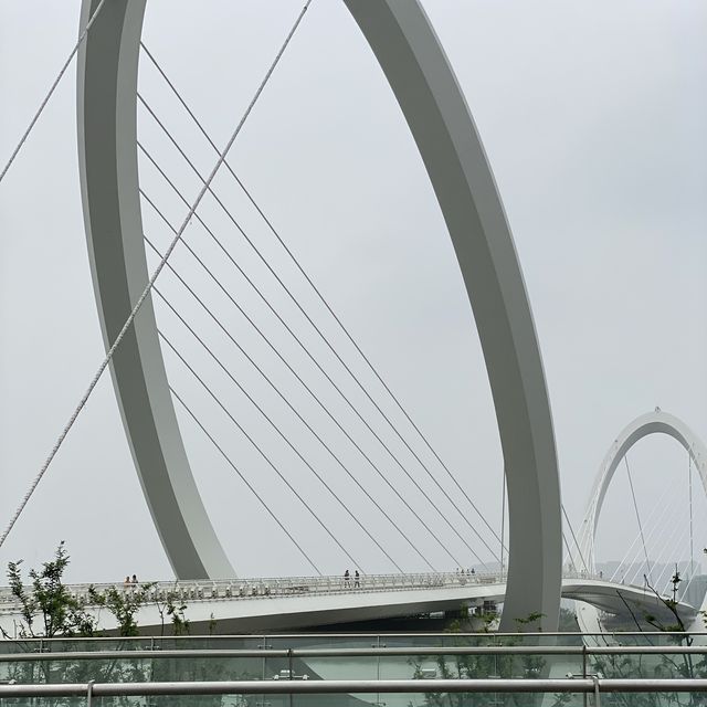 The Beauty of Nanjing Eye