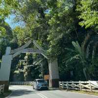 PINEYARD JANDA BAIK, BENTONG, PAHANG.