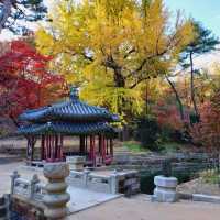 Secret Garden autumn foliage