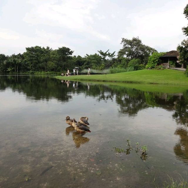 Singapore Botanic Gardens