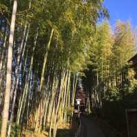 ~ Shuzenji in Autumn 