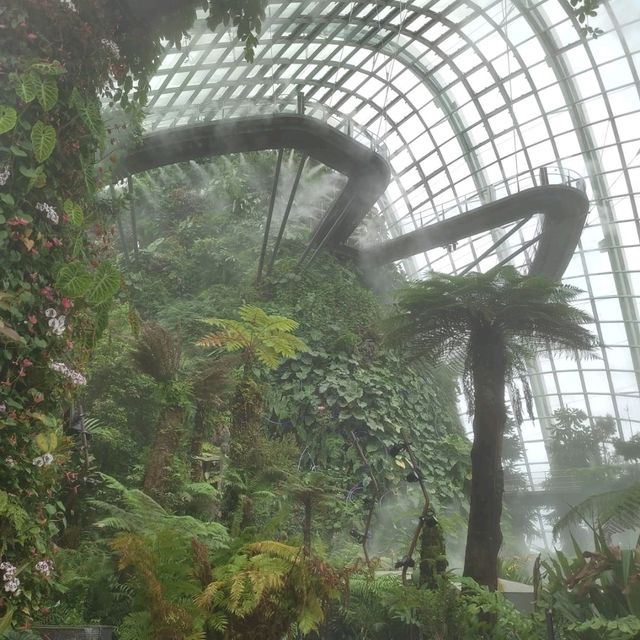 The Secret Garden at Cloud Forest