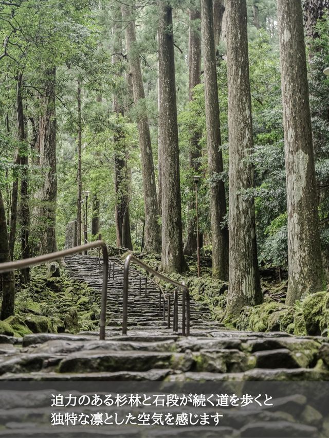 落差日本一 那智の滝