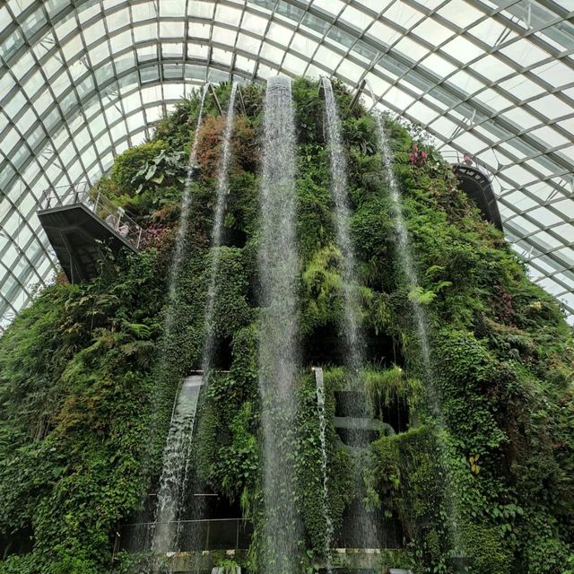 The Secret Garden at Cloud Forest