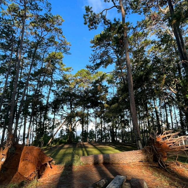 Yo 2 camping point at Doi Khuntan 