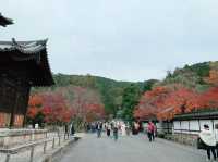 京都[紅葉めぐり]  南禅寺　三門の紅葉が絶景❗️