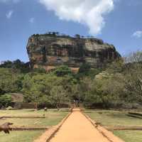 sigiriya Rock Lion roxxx me