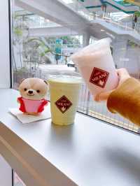 灣仔 | Caffe Milani | 新店環境光猛