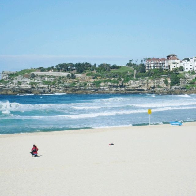 시드니 도심속 힐링스팟 본다이비치 🏖 