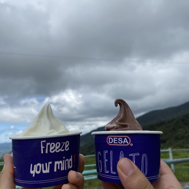 desa dairy farm kundasang