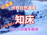 北海道　世界自然遺産　冬の知床　フレペの滝を散策❗️ここにも鹿さん