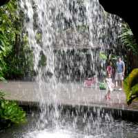 Singapore Botanic Gardens