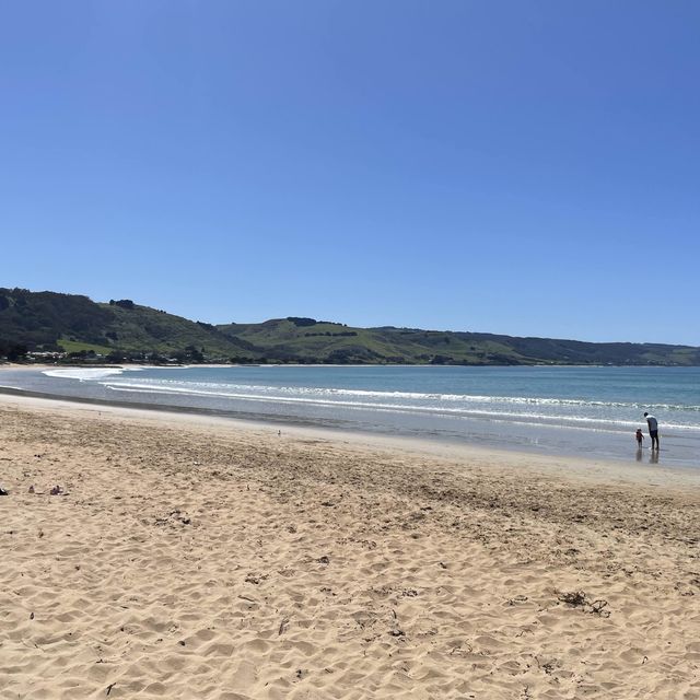 Apollo bay 