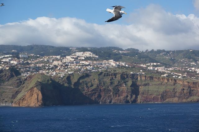 Funchal, the capital of Madeira Islands in Portugal.