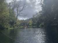 Kayaking in Gainesville- Seeing alligators🐊 