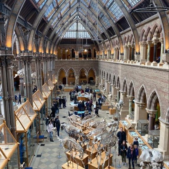 Oxford University Museum of Natural History 