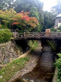 Saihoji Temple——Japan Kyoto