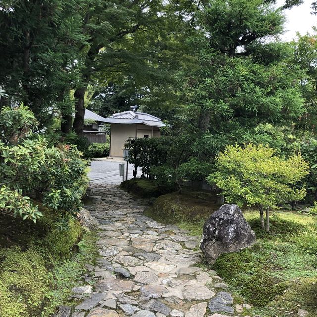 隠れ穴場名所？！ 京都 高台寺