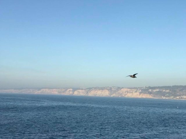 La Jolla Cove - San Diego, USA