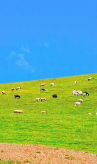 Plateau pastoral area