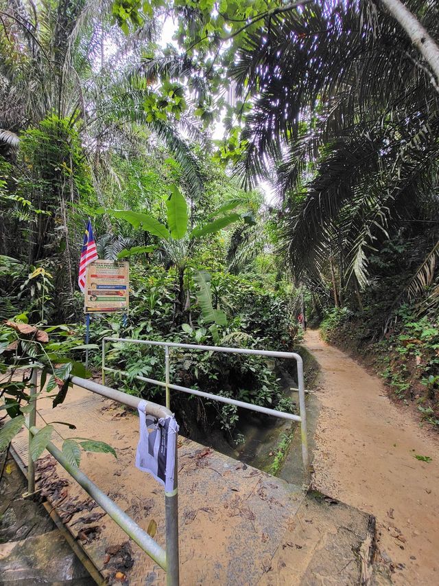 Bukit Gasing Hiking Trail 👣✨