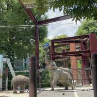 駅からすぐ東京でパンダに会える上野動物園