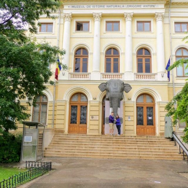 Natural History museum 