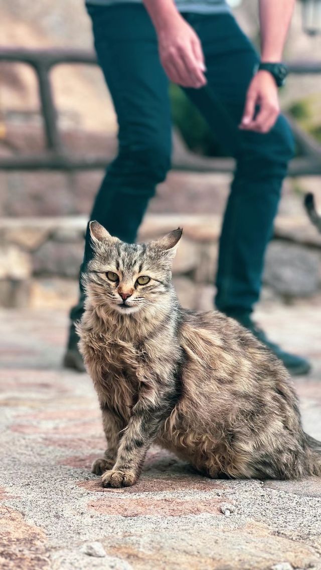 Kandovan-Iran