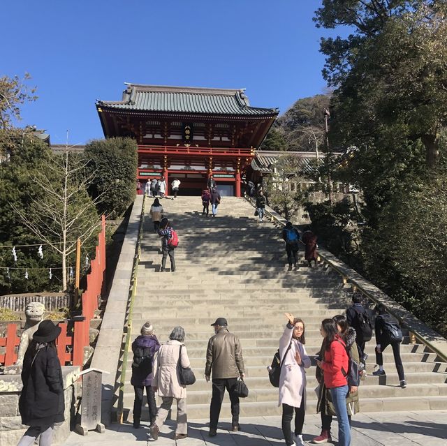 雪之下的鶴岡八幡宮 穿越八百年的歷史