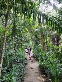 Taman Tugu Hike Trails 👣🍃