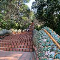 Challenging 8,000 “Stairs to the SKY HIKE!”