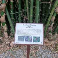 Ethnobotany Gardens Singapore 