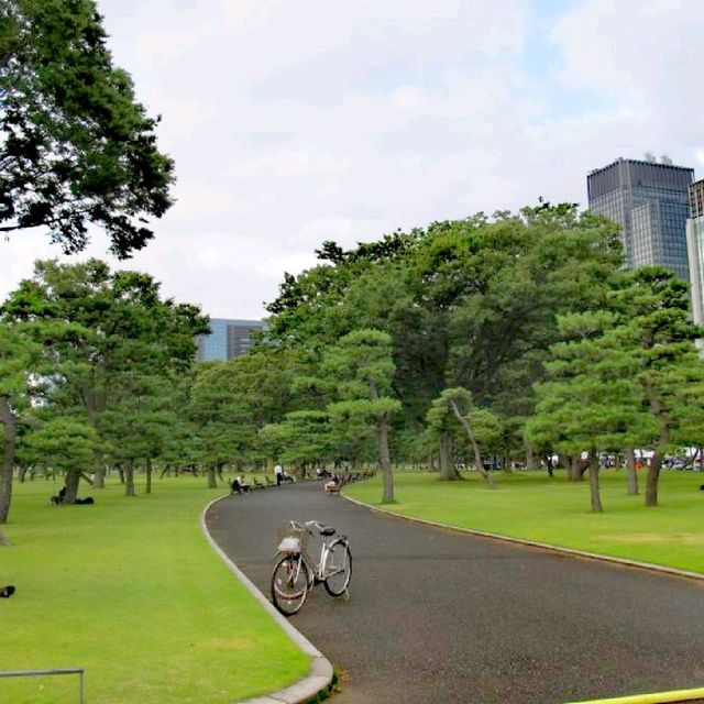 Edo Castle Ruins & Imperial Palace @Tokyo