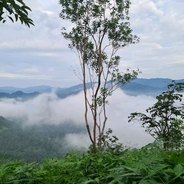 Bukit Panorama ( Peak) Sungai Lembing 