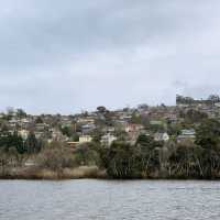 Cataract Cruise Launceston, Tasmania 