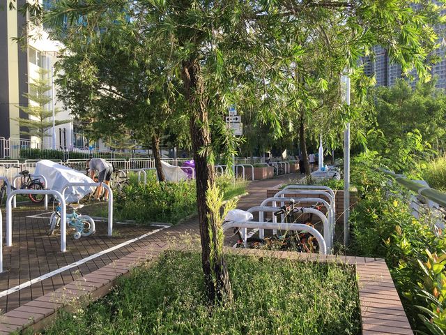 Stroll along  Tseung Kwan O Promenade 🤩🤩